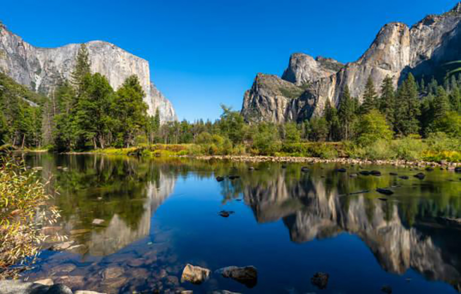 photo of a meadow in yosemite valley