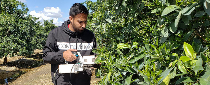 Hardeep Singh - Plant Science Graduate Program