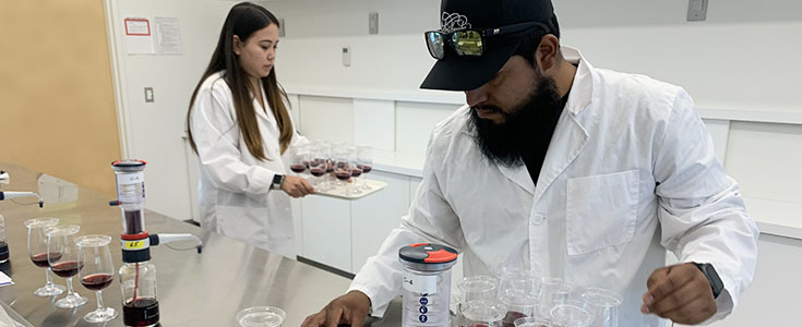 Wine sensory research in Jordan Agriuiltural Research Center lab